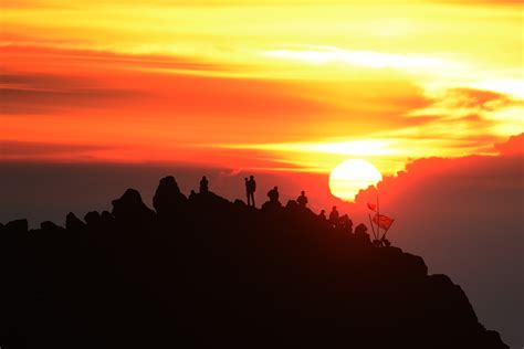 Foto bunga matahari background langit senja gambar bunga bunga matahari bunga langit. Memburu Sunrise di Gunung Arjuno - #TravelON by Wego Indonesia