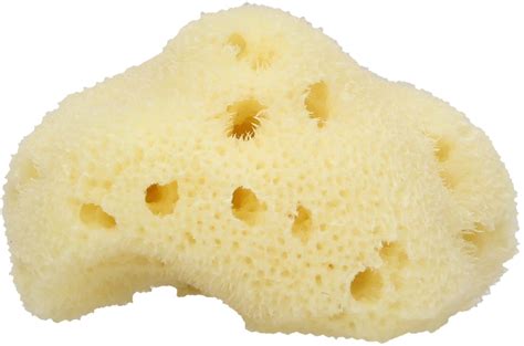 Stick it inside a baby bathtub to help prop and support a slippery newborn; Cose della Natura Le Coccolette Baby Bath Sponge - Ecco ...
