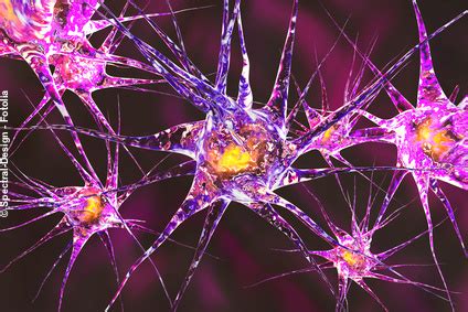 Apr 23, 2020 · the cranial nerves are paired nerves that are responsible for many movements and sensations that take place in your body's head and neck. Enterisches Nervensystem: Gehirn im Bauch - Journal Magen-Darm