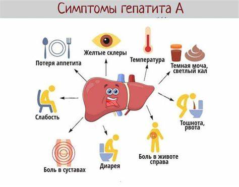 Вирусный гепатит а диета 5 Вирусный гепатит А. Что надо знать, чтобы не заболеть — Житковичи Вирусный гепатит А. Что надо знать, чтобы не заболеть — Житковичи Вирусный гепатит а диета 5