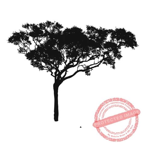 African Tree Silhouette Small T34 617c