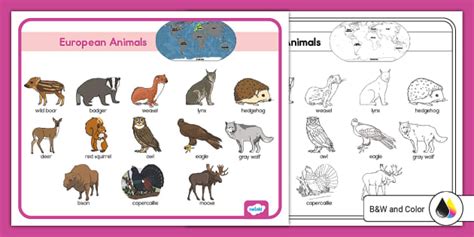 European Animals Word Mat Teacher Made Twinkl