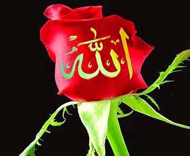 To allah belong the most beautiful and perfect names, so invoke him by them. HAZRAT AWAISKARNI R.A: ALLAH NAME ON FLOWER