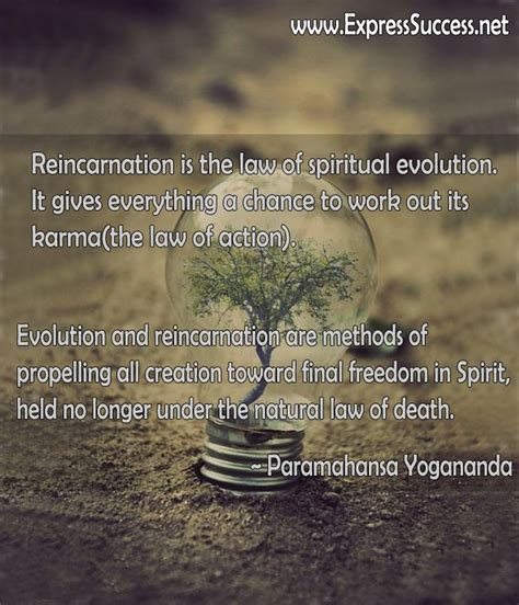 Reincarnation Quotes Spirituality Spiritual Healer