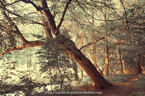 Fairy Woods Jenny Rainbow Fine Art Photography Belong To T Flickr