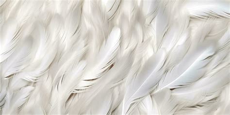 Feather Texture Stock Photos Images And Backgrounds For Free Download
