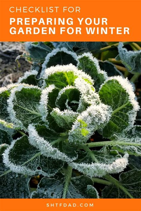 Checklist For Preparing Your Garden For Winter Shtf Dad