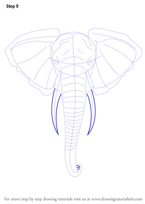Finished drawing of an elephant, colored with crayons. Learn How to Draw an Elephant Head (Zoo Animals) Step by ...