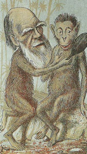 11 x 18 cm coperti: Origine della Specie di Charles Darwin riassunto - Studia ...