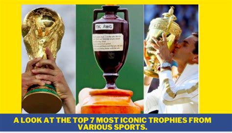 A Look At The Top 7 Most Iconic Trophies From Various Sports