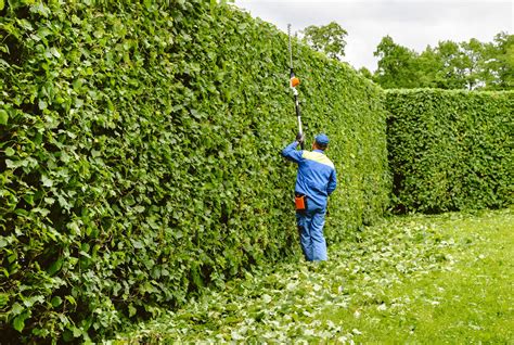 Residential And Commercial Landscape Gardening The Herbivore