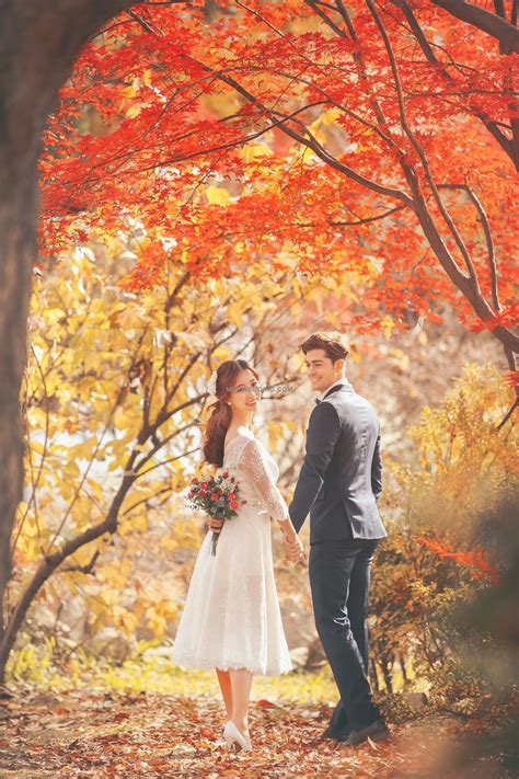 Korean Wedding Photography Pre Wedding Photoshoot Outdoor Prewedding Photography
