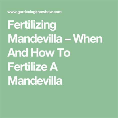 It's advisable to use an organic fertilizer to help protect the environment. Fertilizing Mandevilla - When And How To Fertilize A ...