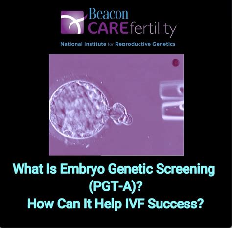 Thumb Embryo Genetic Screening Beacon Care Fertility
