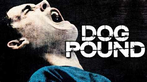 Where to watch dog pound dog pound movie free online Dog Pound | Movie fanart | fanart.tv
