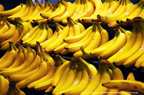 Maybe you would like to learn more about one of these? Cara Membuat Dodol dari Pisang Nangka | Resep Dodol