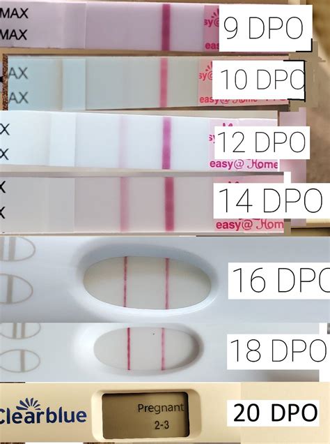 9 18 Dpo Progression Easyhome And Frer And Clearblue Digital Weeks