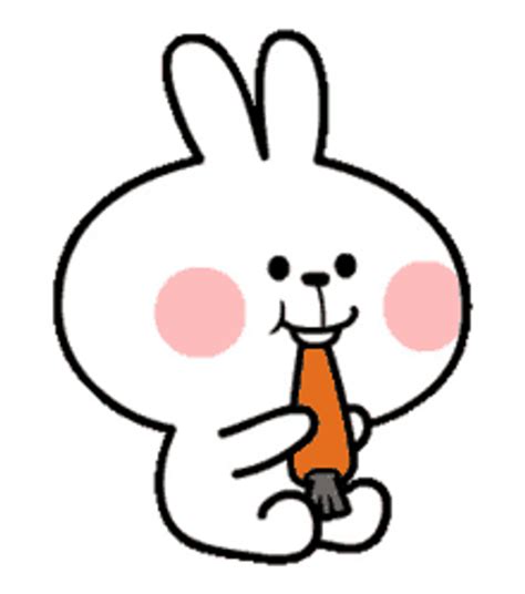 Bunny Animated 