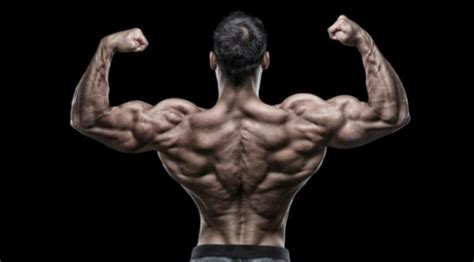 How To Get A Big Back The Best Back Exercises
