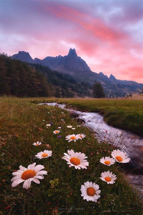 Search your top hd images for your phone, desktop or website. Heavenly Views panosundaki Pin