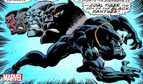 Black Panther Wakanda Forevers Mid Credit Scene Explained Was That
