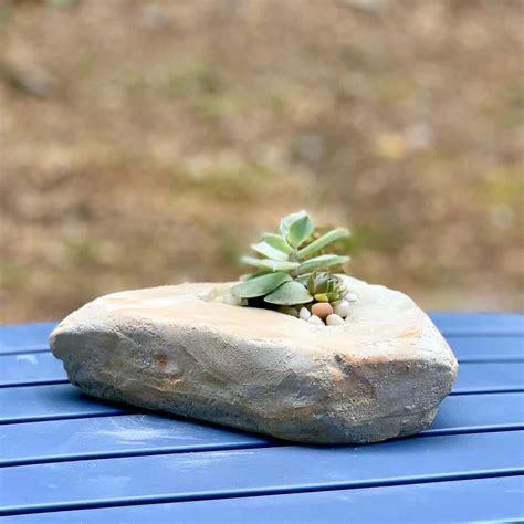 Make A DIY Faux Rock Planter From Cement | Artsy Pretty Plants