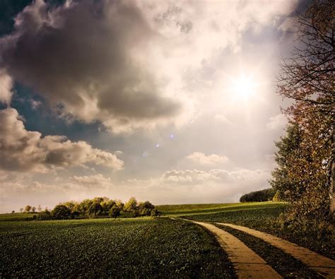 Path For Cars Through A Meadow