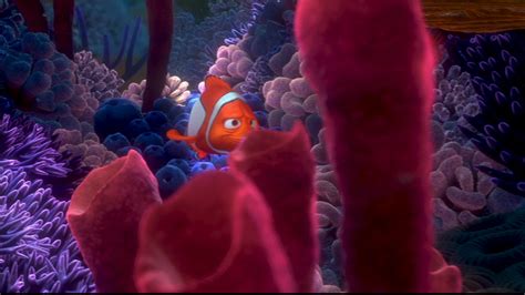 Finding Nemo Disney Photo 33586520 Fanpop