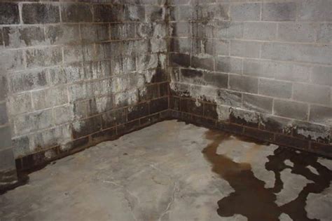 How Much Does It Cost To Waterproof A Basement The Housing Forum