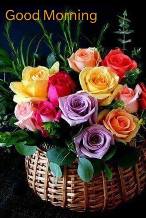 Top Good Morning Images With Flowers Amazing Collection Good Morning Images With Flowers
