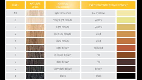 How To Read Hair Color Numbers And Letters 2021 Ultimate Guide Blonde