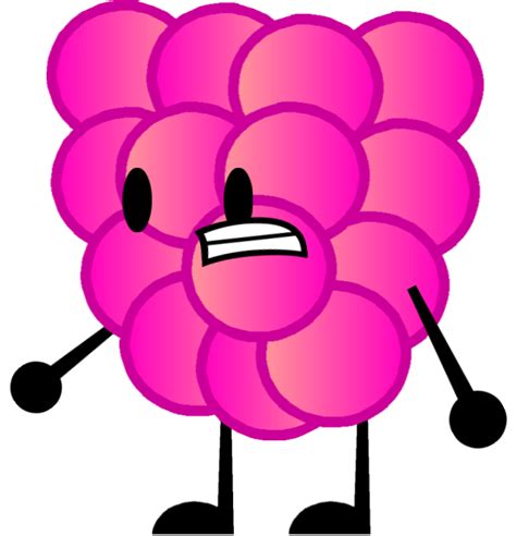 When canes get overcrowded, they compete for easy tips for growing red raspberries in your home garden. Red Raspberry | Object Shows Community | Fandom