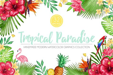 Tropical Paradise Graphic Set Tropical Paradise Watercolor And Ink