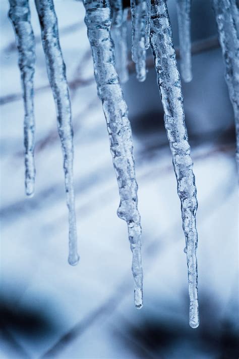 Winter Ice Macro Frost Frozen Icicles Hd Phone Wallpaper Pxfuel