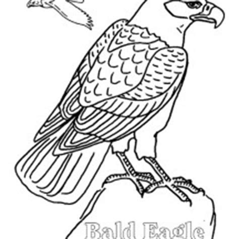 Enjoy these free coloring pages to color, paint or crafty educational projects for young children and the young at heart. Bald Eagle | NetArt