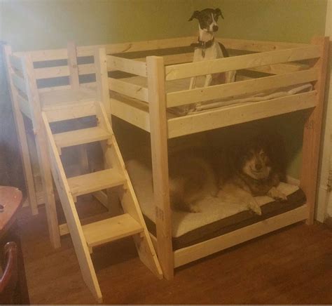 Ana White Dog Bunk Bed Diy Projects Dog Bunk Beds Bunk Bed Plans