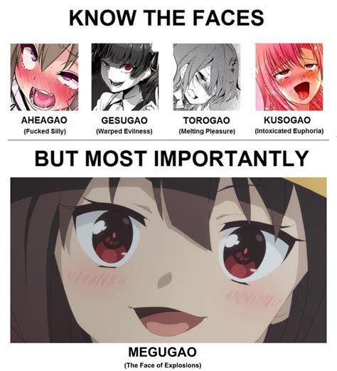 the best gao r animemes