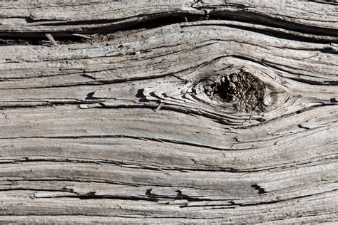 Check spelling or type a new query. Gray weathered wood grain full frame - Custom Wallpaper