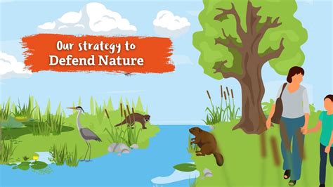 Our Strategy To Defend Nature Youtube