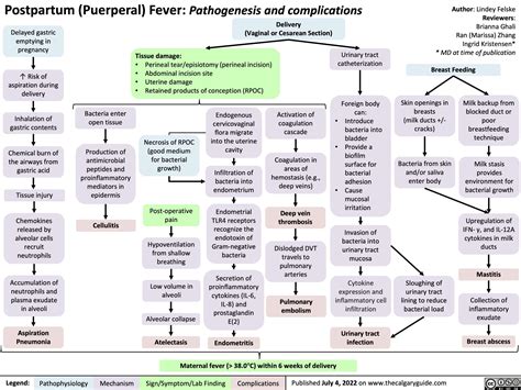 Postpartum Puerperal Fever Pathogenesis And Complications Calgary Guide