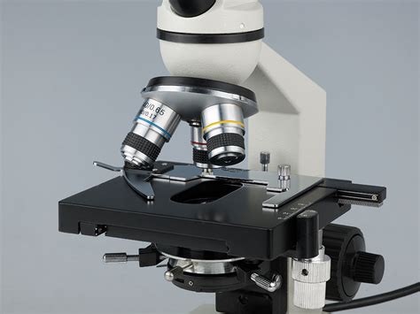 Fma050 for sale) fma050 variscope microscope camera 3.0 mp usb 2.0. Biological Compound Student Microscope 40 - 600x w NEW | eBay