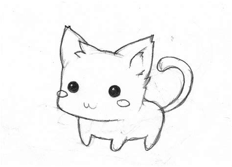 Cute Chibi Cat Drawing