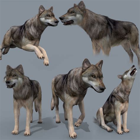 3d Model My Wolf 3d Animated Wolf Model Vr Ar Low Poly Rigged