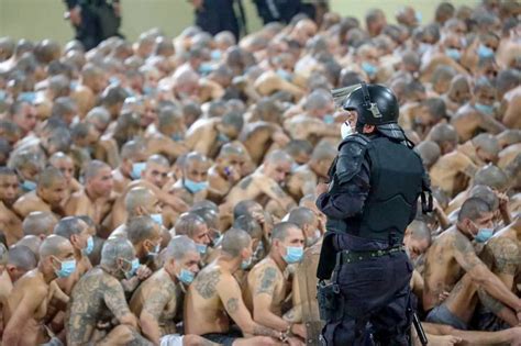 el salvador lines up semi naked gang members for grim prison photos metro us