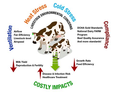 Cattle Heat Stress Monitors Will Save Dairy Producers Time And Money