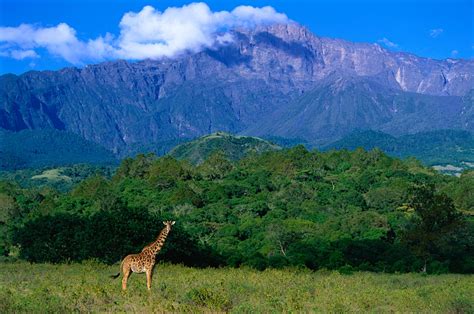 arusha national park travel northern tanzania tanzania lonely planet