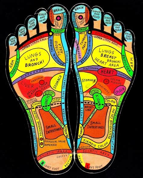 Reflexology Chart Hemorrhoids Projects To Try Reflexology Foot Reflexology Reflexology Massage