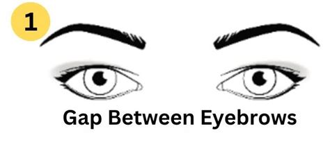 Personality Test Your Eyebrows Reveal Your Hidden Personality Traits