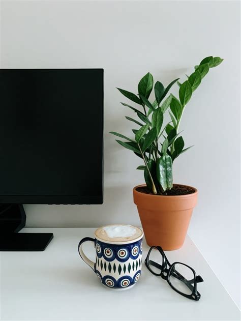 8 Productivity Boosting Plants For Your Denver Office Beautyharmonylife