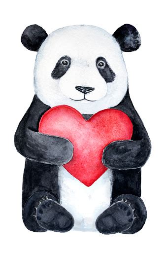 Cute Little Panda Teddy Bear Holding A Big Red Heart Stock Illustration